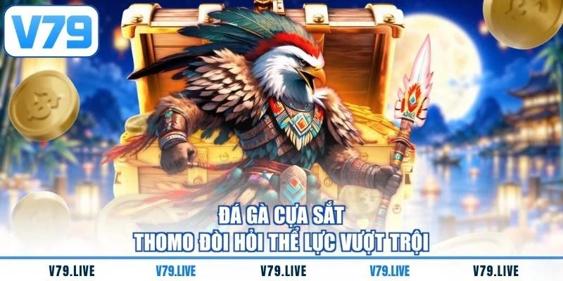 da-ga-cua-sat-thomo-doi-hoi-the-luc-vuot-troi Đá gà cựa sắt Thomo đòi hỏi thể lực vượt trội